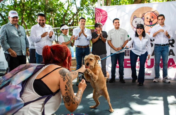 https://edtijuana.com/destacado/las-siete-mujeres-que-lideran-la-politica-en-quintana-roo/