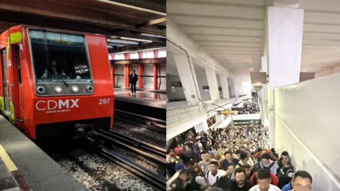 WhatsApp Image 2025-03-04 at 12.28.01