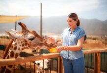 Beneficia «Corazones Viajeros» a más de 5 mil personas en 2025 con turismo social en BC