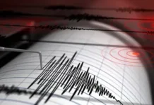 Sismo de magnitud 4.1 sacude Chiapas este 19 de febrero de 2026