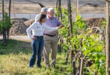 CESPT impulsa uso de agua tratada en producción vinícola en Viñedo Experimental La Morita