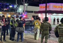 Atropellamiento masivo en Cabo San Lucas deja 17 heridos