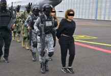 Suman 12 detenidos del CJNG tras operativo en Michoacán