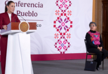 México negocia por el aguacate