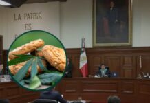 Suprema Corte avala brownies y galletas con cannabis, pero con límites